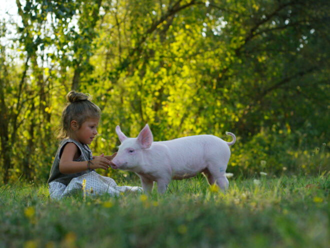 Kind met varken buiten shutterstock 558985735
